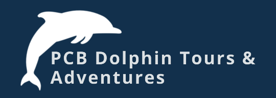 Panama City Beach Dolphin and Snorkeling Adventures logo