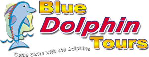 Blue Dolphin Tours logo