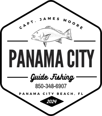 Panama City Guide Fishing image